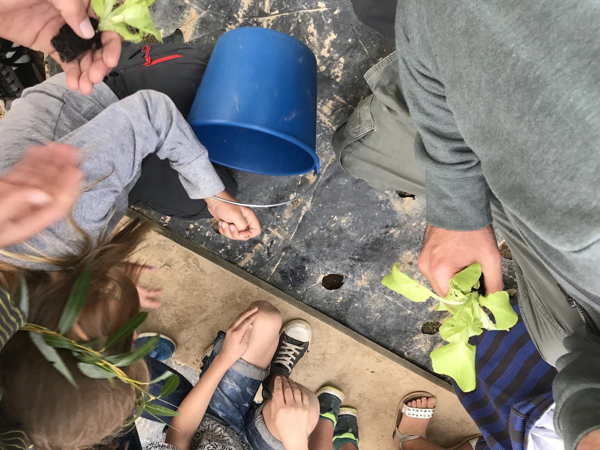Camping Amaido San Tirso de Abres Eksteriør billede